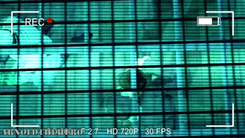 Clone production - Arnoldthehero