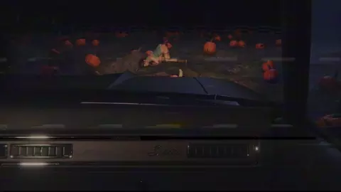 Pumpkin field - Wildeerstudio