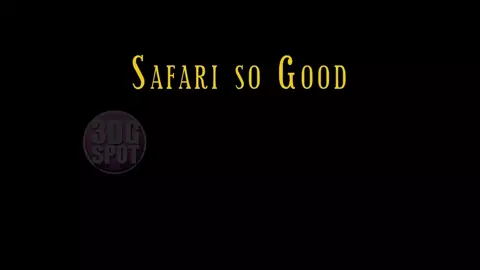 Fun Safari
