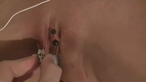 Queensnake - New Toys Painful Electrons