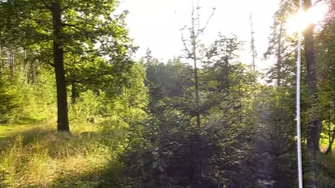 Watch4Beauty - Candy: In The Summer