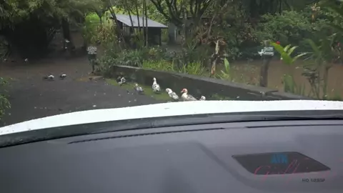 One Way To Not Get Bored On A Long Car Ride