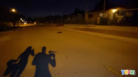 Halloween Criminal