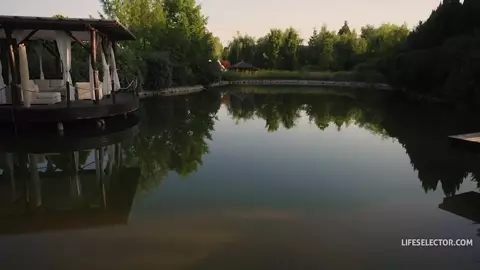 The Best Engine For A Stick