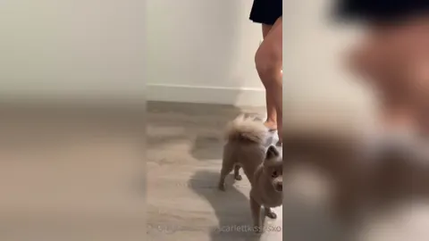 Scarlett Kisses - The FedEx Guy Was So Hot