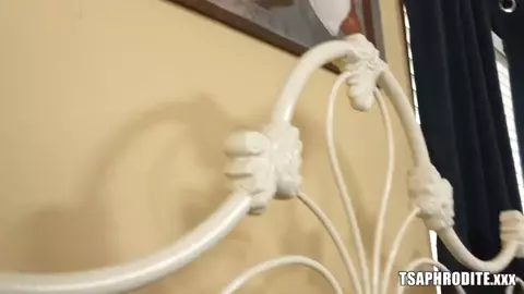 TransErotica Aphrodite Adams - Busty Trans Babe Receives Hung Dick
