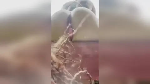 Paige Vanzant Booty G-String Play Onlyfans Video Leaked
